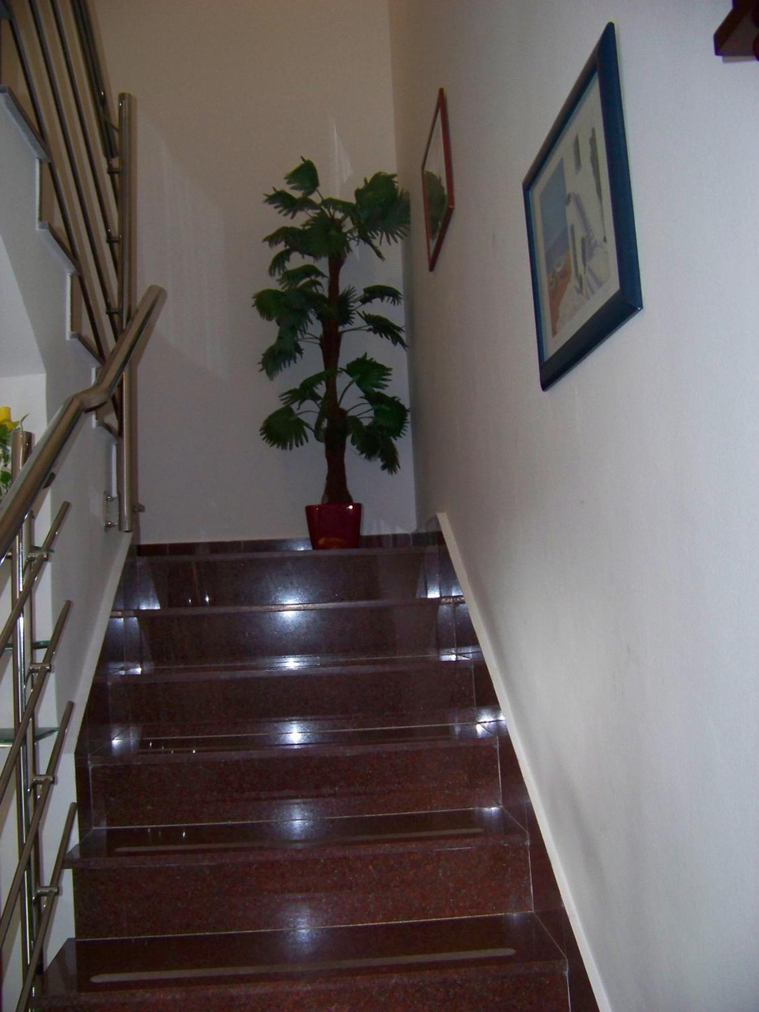 פודסטראנה Apartments Bozikovic מראה חיצוני תמונה